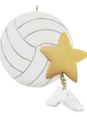 Volleyball Star 133